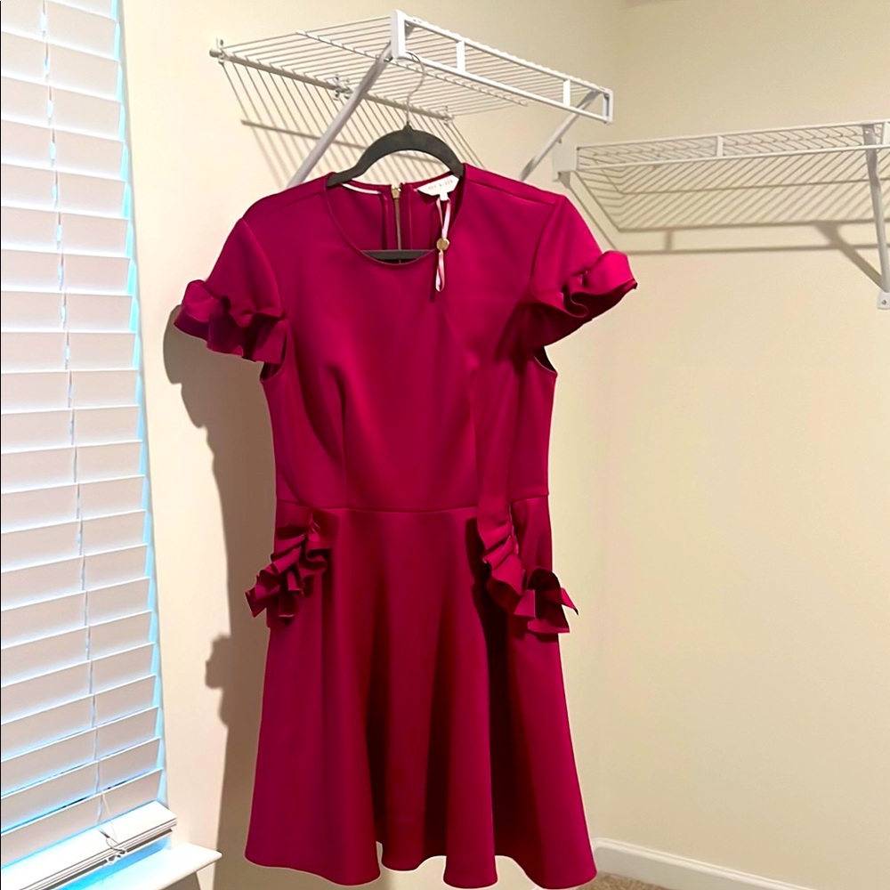 Ted Baker Pink Fit and Flare Mini Dress